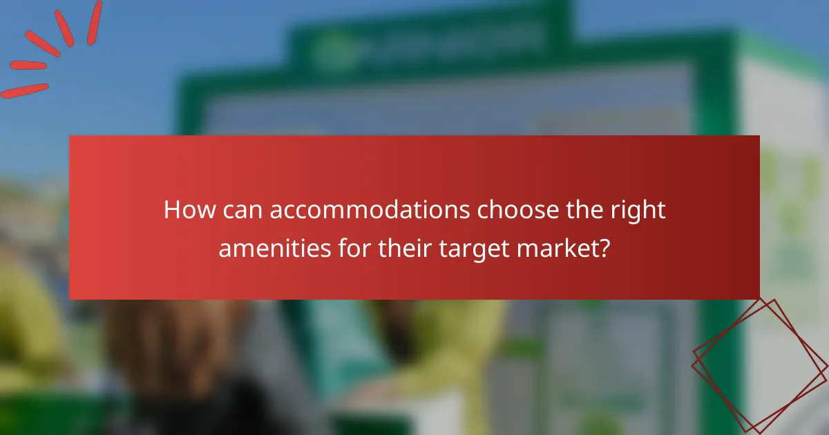 How can accommodations choose the right amenities for their target market?