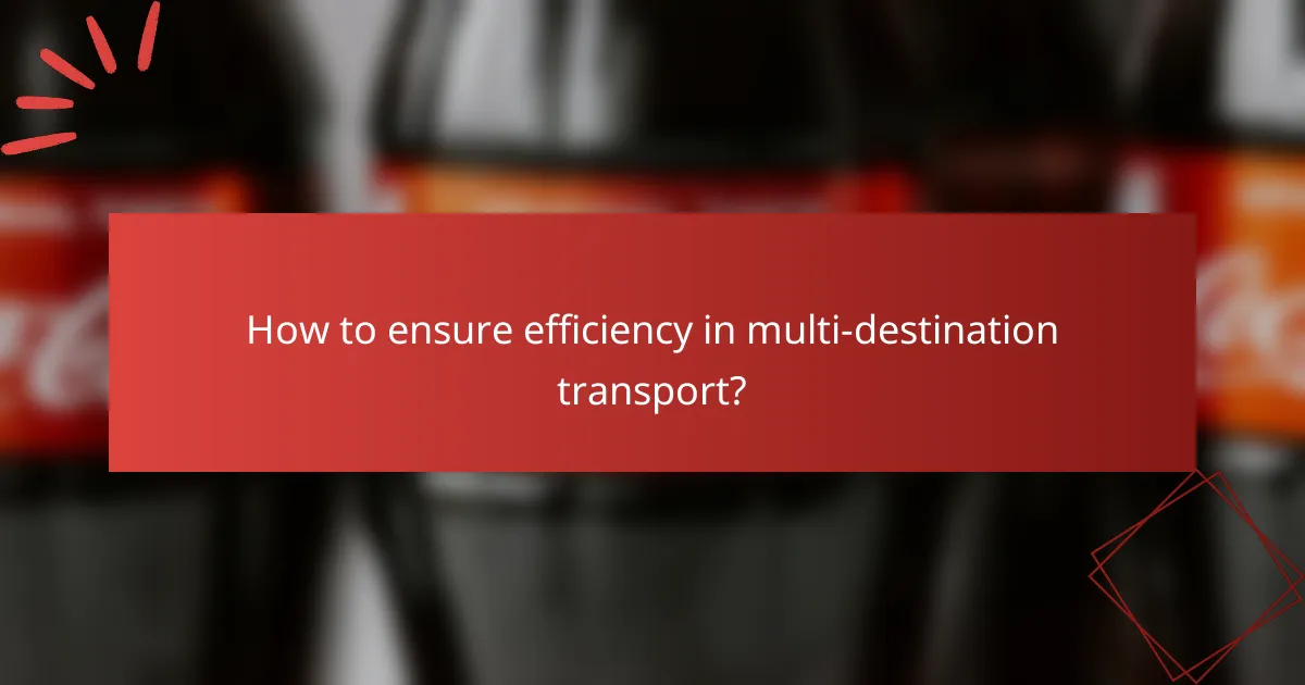 How to ensure efficiency in multi-destination transport?